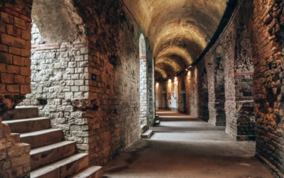 Visite guidée Fréjus Ville Romaine : sur les traces de l’Antiquité